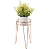image:imagemDesign Metal IndoorOutdoor Plant Stands  Modern Plant Stand with Hairpin Legs for Flowers Plants Greenery Succulents Vases Pots Containers Concerto Collection Set of 3 Rose Gold