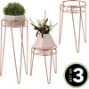 image:imagemDesign Metal IndoorOutdoor Plant Stands  Modern Plant Stand with Hairpin Legs for Flowers Plants Greenery Succulents Vases Pots Containers Concerto Collection Set of 3 Rose Gold