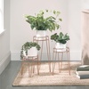 image:imagemDesign Metal IndoorOutdoor Plant Stands  Modern Plant Stand with Hairpin Legs for Flowers Plants Greenery Succulents Vases Pots Containers Concerto Collection Set of 3 Rose Gold