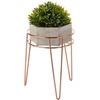image:imagemDesign Metal IndoorOutdoor Plant Stands  Modern Plant Stand with Hairpin Legs for Flowers Plants Greenery Succulents Vases Pots Containers Concerto Collection Set of 3 Rose Gold