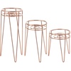 image:imagemDesign Metal IndoorOutdoor Plant Stands  Modern Plant Stand with Hairpin Legs for Flowers Plants Greenery Succulents Vases Pots Containers Concerto Collection Set of 3 Rose Gold