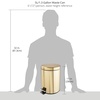 image:imagemDesign Pedal Bin  Metal Waste Bin with Pedal Lid and Plastic Bucket Insert  for Bathroom Kitchen and Office  3 Litre Household Rubbish Bin with Ergonomic Design  BlackSoft Brass