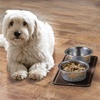 image:imagemDesign Premium Quality Square Pet Food and Water Bowl Feeding Mat for Dogs and Cats Waterproof NonSlip Durable Silicone Placemat  Food Safe  Small Linelle Collection  Espresso BrownEspresso Brown