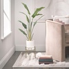 image:imagemDesign Steel Modern 9 Plant Stand Planter Holder wHairpin Legs for Display Indoor Outdoor PlantFlower in Living Room Shelf Balcony Patio Garden Home Office  Concerto Collection  Soft BrassSoft Brass
