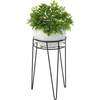 image:imagemDesign Steel Modern 9 Plant Stand Planter Holder wHairpin Legs for Display Indoor Outdoor PlantFlower in Living Room Shelf Balcony Patio Garden Home Office  Concerto Collection  Soft BrassBlack