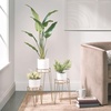 image:imagemDesign Steel Modern 9 Plant Stand Planter Holder wHairpin Legs for Display Indoor Outdoor PlantFlower in Living Room Shelf Balcony Patio Garden Home Office  Concerto Collection  Soft BrassSoft Brass