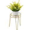 image:imagemDesign Steel Modern 9 Plant Stand Planter Holder wHairpin Legs for Display Indoor Outdoor PlantFlower in Living Room Shelf Balcony Patio Garden Home Office  Concerto Collection  Soft BrassSoft Brass