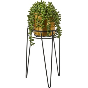 image:imagemDesign Steel Modern 9 Plant Stand Planter Holder wHairpin Legs for Display Indoor Outdoor PlantFlower in Living Room Shelf Balcony Patio Garden Home Office  Concerto Collection  Soft BrassBlack