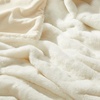 image:imagemDesign Big Soft Plush Faux Fur Blanket  Super Warm Fuzzy Luxury Polyester Throw Blankets for House  Bedroom Living Room Couch Office Ottoman or Dorm Room  White