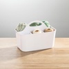 image:imagemDesign Plastic Portable Craft Storage Organizer Caddy Tote Divided Basket Bin wHandle  Craft Sewing Art Supplies  Holds Brushes Colored Pencils  Lumiere Collection  White 2 PackWhite