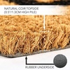image:imagemDesign Rectangular Coir and Rubber Entryway Doormat with Natural Fibers for Indoor or Outdoor Use  Neutral Design  Stripe Border  Minimalistic NaturalBlackNatural Border
