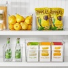 image:imagemDesign Large Modern Plastic Open Front Dip Storage Organizer Bin Basket for Kitchen Organization  Shelf Cupboard Cabinet and Pantry Organizing Decor  Ligne Collection  Clear16 x 12 x 8 Pack of 1
